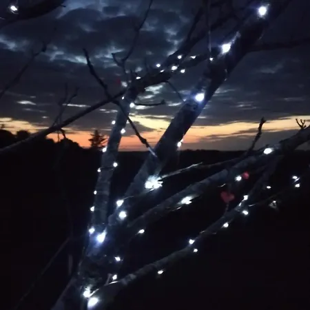 La Caliente *